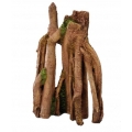 Jungle Wood 1